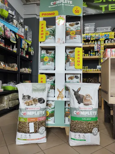 Jungle by Snakes Team